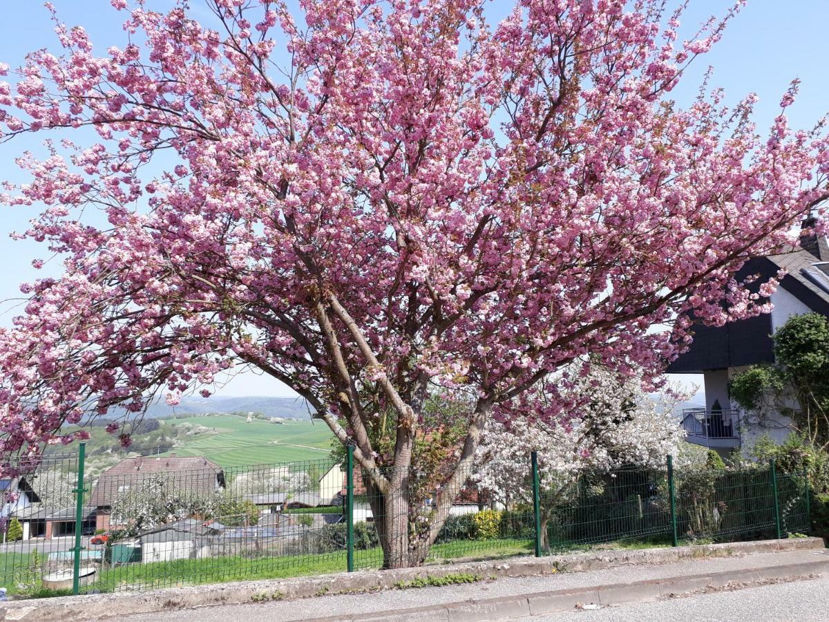 Haus Der Rosen Lejlighed Boppard Eksteriør billede